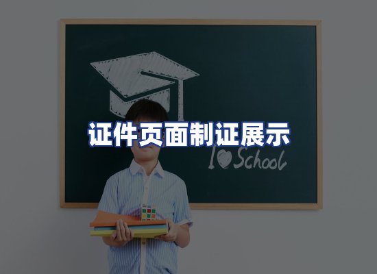 证件页面制证展示